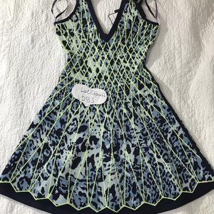 HERVE LEGER KOLLETTE A-LINE JACQUARD FLARED DrESS